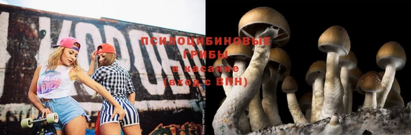 гашик Абаза