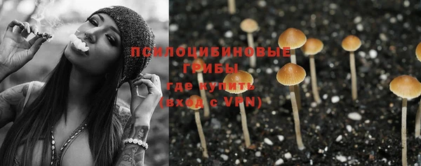 гашик Абаза