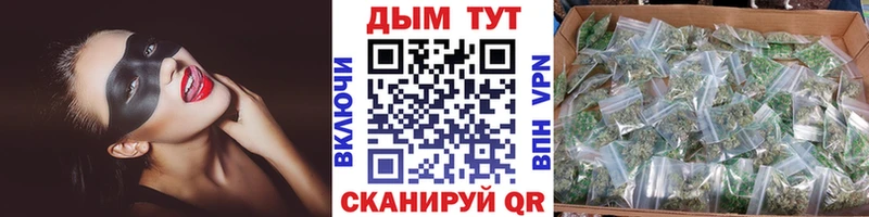 наркошоп Хилок Канабис VHQ